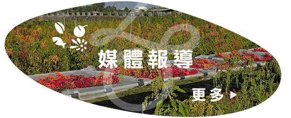 媒體報導-連結用圖.png