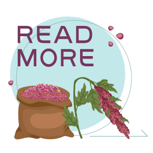 readmore.png